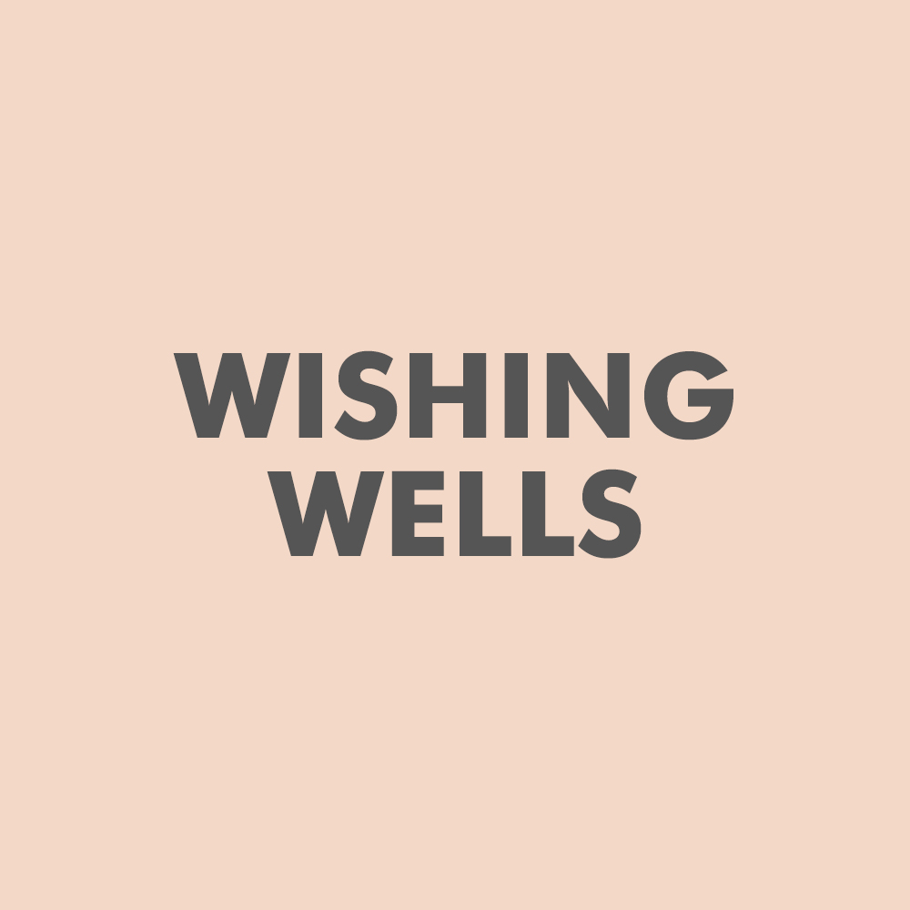 coocachuu-wishing-well